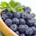 Susan Jones - ch3-pp17-blueberries_559493