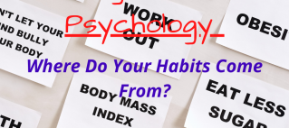 Weight Loss Psychology – Where Do Your Habits Come From?